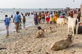 RAMESWARAM, RAMESHWARAM, PAMBAN ISLAND, TAMIL NADU, INDIA - March circa, 2018. Group of unidentified Indian pilgrims devotees wome