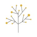 Ramifications tree with stem and branches Royalty Free Stock Photo