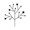 Ramifications tree with stem and branches Royalty Free Stock Photo