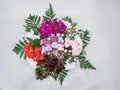 Ramo de flores Royalty Free Stock Photo