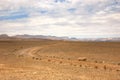 Ramon Canyon trek, Israel Royalty Free Stock Photo