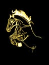 Rampant horse gold drawing and black background