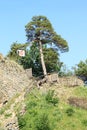 Ramparts of castle Girls Stone Royalty Free Stock Photo