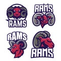 Rams esport logo design template, Goat logo vector illustration Royalty Free Stock Photo