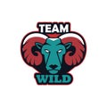 Rams head animal emblem icon with team wild lettering