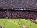 Rams QB Sam Bradford sets to throw during play