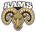 Rams sport team badge. Animal head logo