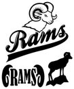 Rams Team Mascot Royalty Free Stock Photo