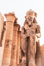 Ramses statue in Luxor Temple