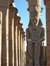 Ramses II watches over Luxor Temple, Egypt