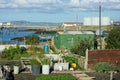 Ramshackle Allotment next to fuel facility. Anglesey, Wales.