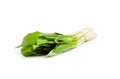 Ramson bunch vegetable Royalty Free Stock Photo