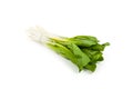 Ramson bunch vegetable Royalty Free Stock Photo