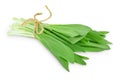 Ramson bunch vegetable isolated on white background with clipping path and full depth of field Royalty Free Stock Photo