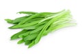 Ramson bunch vegetable isolated on white background with clipping path and full depth of field