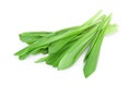 Ramson bunch vegetable isolated on white background with clipping path and full depth of field Royalty Free Stock Photo