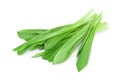 Ramson bunch vegetable isolated on white background with clipping path and full depth of field