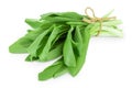 Ramson bunch vegetable isolated on white background with clipping path and full depth of field Royalty Free Stock Photo