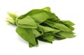 Ramson leaves Royalty Free Stock Photo