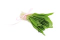 Ramson onion cluster Royalty Free Stock Photo