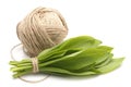 Ramson onion isolated against white background. Royalty Free Stock Photo
