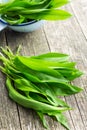 Ramson or wild garlic leaves Royalty Free Stock Photo