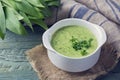 Ramsons cream soup Royalty Free Stock Photo