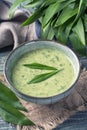 Ramsons cream soup Royalty Free Stock Photo