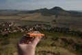 Rana, Czech republic - September 16, 2018: orange model of legendary czechoslovak car Skoda 110R named Erko from year 1980 in hand