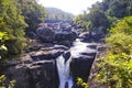 Ranamafana rainforest - Madagascar Royalty Free Stock Photo