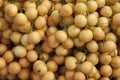 Ranbai Thai wild fruit. Royalty Free Stock Photo