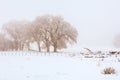 Snow on the Ranch in New Mexico Royalty Free Stock Photo