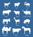 Ranch farm animals collection vector silhouette illustration isolated on blue background. Royalty Free Stock Photo