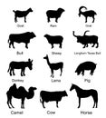 Ranch farm animals collection vector silhouette illustration isolated on white background. Royalty Free Stock Photo