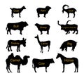 Ranch farm animals collection vector silhouette illustration isolated on white background. Royalty Free Stock Photo