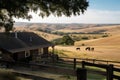 ranch house with view of rolling hills and fields, with horse and cattle grazing Royalty Free Stock Photo