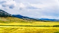 Ranch Land in the Nicola Valley in British Columbia, Canada