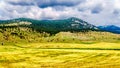 Ranch Land in the Nicola Valley in British Columbia, Canada