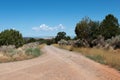 Ranch road though pinyon juniper woodland