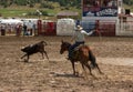 A Rancher competing at a rodeo in colorado Royalty Free Stock Photo