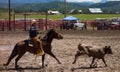 A Rancher competing at a rodeo in colorado Royalty Free Stock Photo