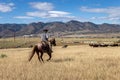 Rancher on Horseback Riding Across a Field