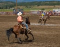 Ranchers competing at a rodeo in colorado