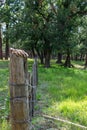 Ranchers gloves left on a fence post