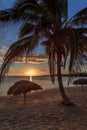 Rancho Luna caribbean beach with palms and straw umbrellas on the shore, sunset view, Cienfuegos, Cuba Royalty Free Stock Photo