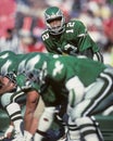 Randall Cunningham Royalty Free Stock Photo