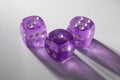 A random arrangement of purple dice and a puzzle cup, captured after the dice have been cast Royalty Free Stock Photo