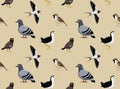 Random Asian Birds Wallpaper 2