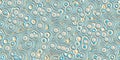 Random Blue Yellow Circles Background Texture. Top View Rain Drops Backdrop