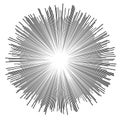 Random circular lines starburst, sunburst. Converging radial, radiating stripes, spokes. Concentric rays, beams. Fireworks, Royalty Free Stock Photo